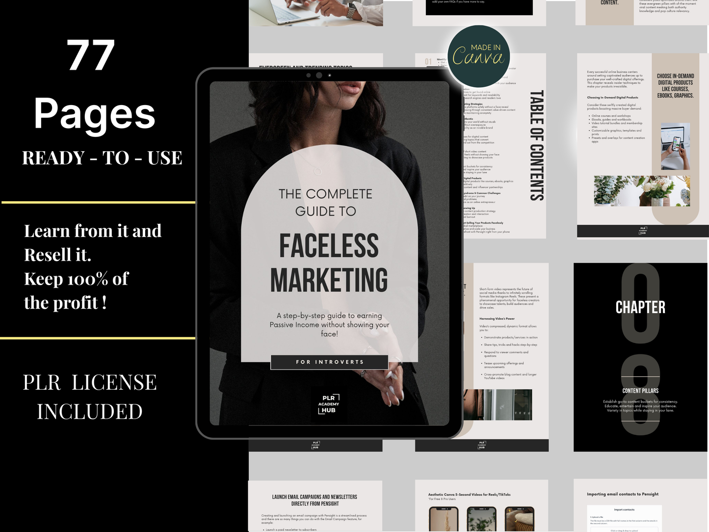 FACELESS INCOME ACCELERATOR BUNDLE