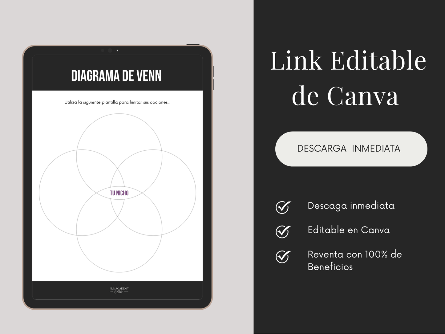 Encuentra Tu Nicho Perfecto: Workbook para Empezar Hoy