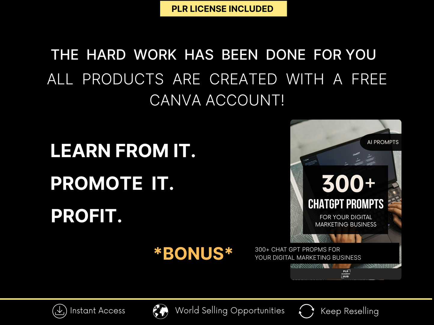 FACELESS INCOME ACCELERATOR BUNDLE