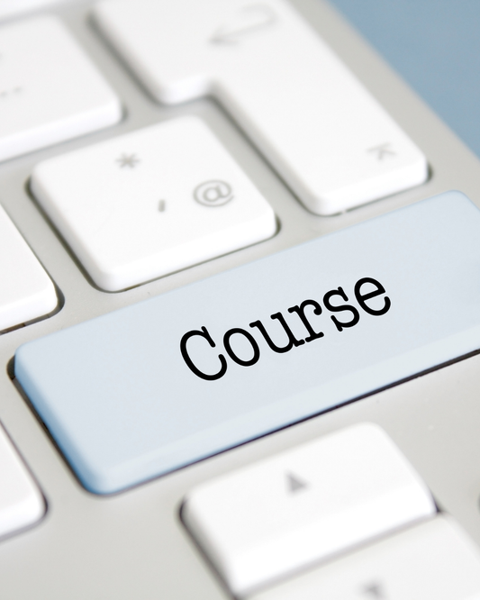 ¿Qué es un curso PLR?