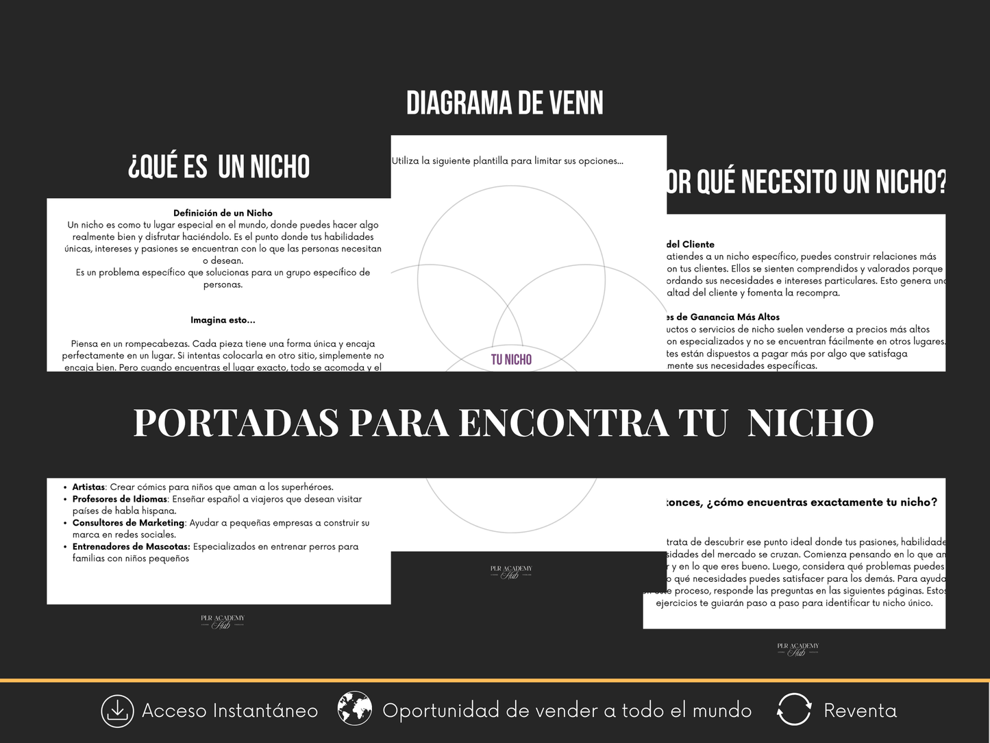 Encuentra Tu Nicho Perfecto: Workbook para Empezar Hoy